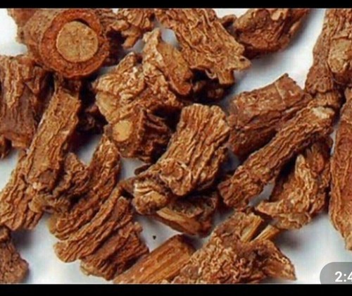Organic revand khatai revan - revand,