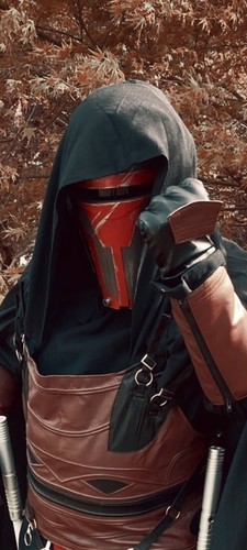 Star wars darth revan - revan, sith